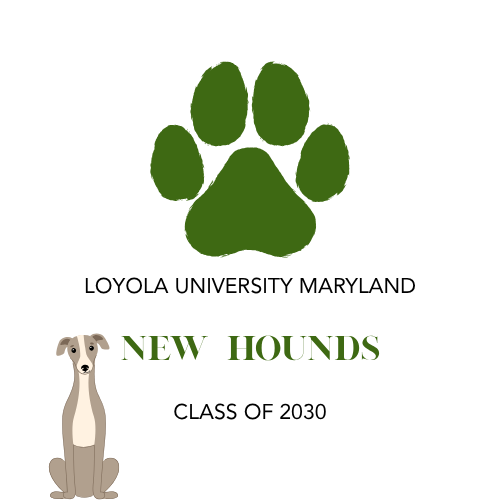 paw print with greyhound Loyola University Maryland New Hounds Class of 2030